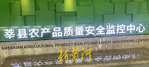 高瞰山東打卡聊城 莘縣蔬菜瓜果安全無憂，網絡安全軟件開發保障數字生活